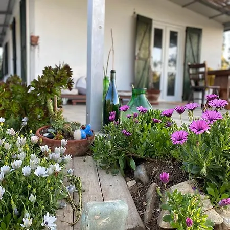 House Ogliastra - A Pochi Passi Dalla * Tertenìa