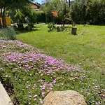 Prázdninový dům House Ogliastra - A Pochi Passi Dalla *