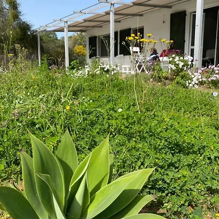 Holiday home House Ogliastra - A Pochi Passi Dalla *