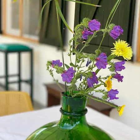 House Ogliastra - A Pochi Passi Dalla *
