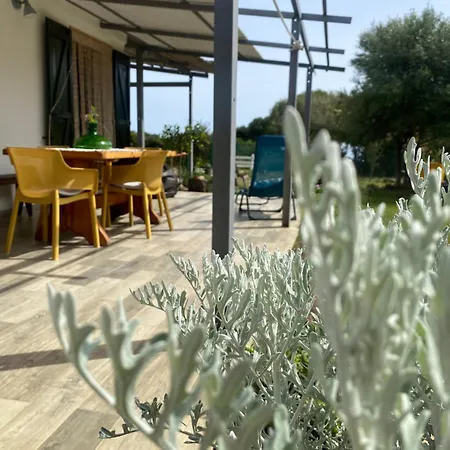 House Ogliastra - A Pochi Passi Dalla Feriehus *