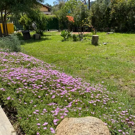 Feriehus House Ogliastra - A Pochi Passi Dalla *