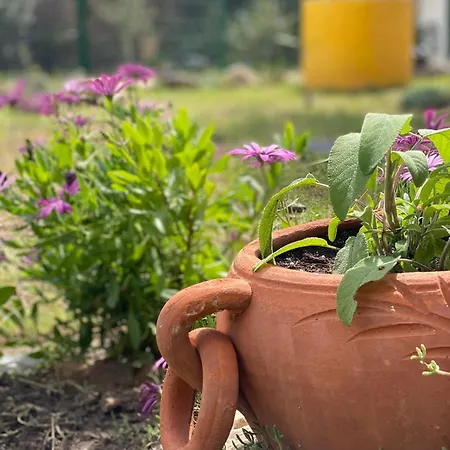 Hébergement de vacances House Ogliastra - A Pochi Passi Dalla *