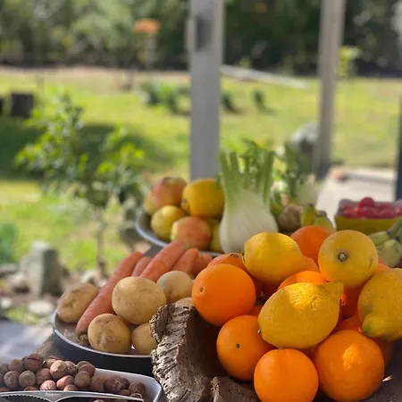 House Ogliastra - A Pochi Passi Dalla Hébergement de vacances *