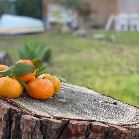 Hébergement de vacances House Ogliastra - A Pochi Passi Dalla
