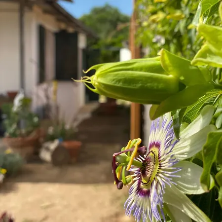 Feriehus House Ogliastra - A Pochi Passi Dalla *