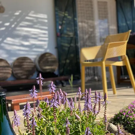 House Ogliastra - A Pochi Passi Dalla Feriehus